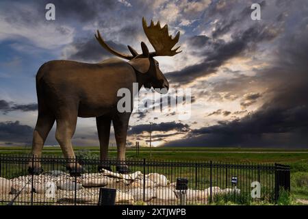 Elche Jaw Saskatchewan Canada, 19. Juli 2024: Statue im Besucherzentrum mit Blick auf die Prärien von Saskatchewan, während sich in der Ferne ein Sturm entwickelt. Stockfoto