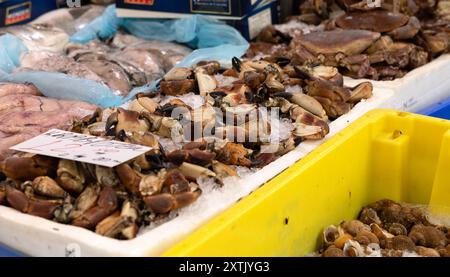 Frische Krabben in einer weißen Box, angeboten auf dem Markt in Rotterdam. Frische Krabben in einer weißen Box, angeboten auf dem Wochenmarkt in Rotterdam, Niederlande. Meeresfrüchte, gesunde, gekühlte Waren, Markthändler, zum Kochen, Krebstiere, Marktstand. niederlande rotterdam Weekly Market B97A6359 Stockfoto