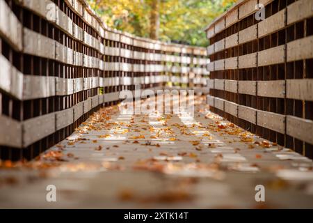 Eine hölzerne Fußgängerbrücke, bedeckt mit herabfallenden Herbstblättern in einem Wald an einem sonnigen Tag, mit verschwommenem Hintergrund Stockfoto