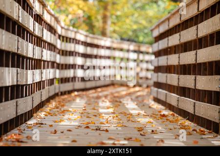Ein hölzerner Gehweg, bedeckt mit herabfallenden Herbstblättern, die an einem sonnigen Tag auf dem Boden verstreut sind, mit verschwommenem Hintergrund Stockfoto