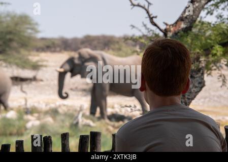 Rückansicht eines Teenagers auf Safari, der Elefanten hinter einem Holzzaun beobachtet. Fotografiert im Etosha Nationalpark, Namibia. Stockfoto