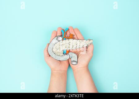 Pankreasorgan, Verdauungs- und endokrines System von Wirbeltieren, Regulierung des Blutzuckerspiegels, Insulinhormone, Diabetes mellitus und Krebs Stockfoto