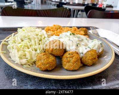 Mittagessen in einer Kantine / Betriebsrestaurant Falafel mit Reis 15.08.2024 *** Mittagessen in einer Kantine Betriebsrestaurant Falafel mit Reis 15 08 2024 Stockfoto