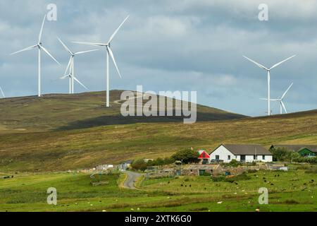 Viking Wind Farm, bestehend aus 103 Windturbinen, die von SSE ab 2020 auf dem Shetland-Festland gebaut und 2024 fertiggestellt wurden Stockfoto