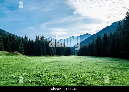 Almwiesen in den österreichischen Alpen Bad Hofgastein Angertal Salzburg Österreich Stockfoto