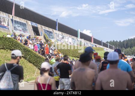 Spielberg, Österreich. August 2024. SPIELBERG, ÖSTERREICH - 15. AUGUST: Featurefans während der MotoGP of Austria - Previews RED BULLRING am 15. August 2024 in Spielberg, Steiermark.240815 SEPA 12 040 - 20240815 PD3014 Credit: APA-PictureDesk/Alamy Live News Stockfoto