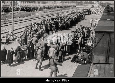 AUSCHWITZ ANKUNFT LEBEN ODER TOD AUSWAHL Juden aus Unterkarpaten Rus unterziehen sich einer Auswahl auf der Rampe in Auschwitz-Birkenau. Mai 1944 Auschwitz, [Oberschlesien] Polen Stockfoto