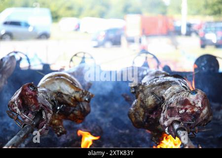 Zagreb, Kroatien. August 2024. Ein Lamm wird während eines Festes der Himmelfahrt der Heiligen Jungfrau Maria am 15. August 2024 in Zagreb, Kroatien, gebraten. Foto: Emica Elvedji/PIXSELL Credit: Pixsell/Alamy Live News Stockfoto