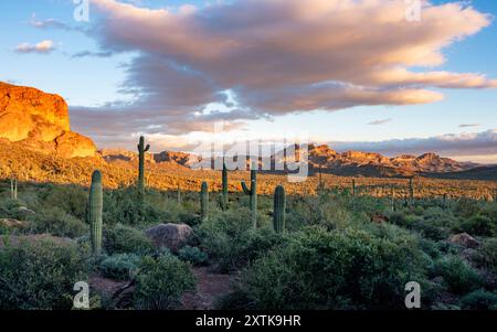 Aberglaube Wilderness, Arizona. Stockfoto