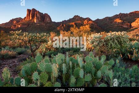 Superstition Mountains, Arizona. Stockfoto