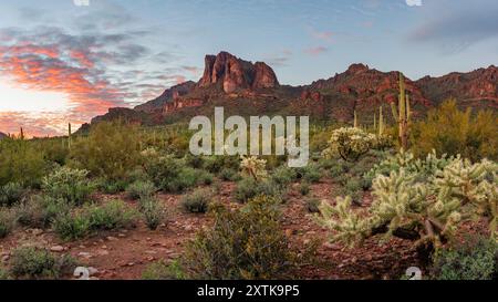 Superstition Mountains, Arizona. Stockfoto