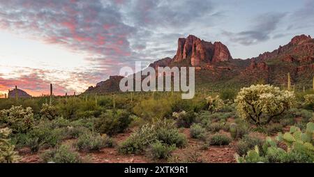 Superstition Mountains, Arizona. Stockfoto