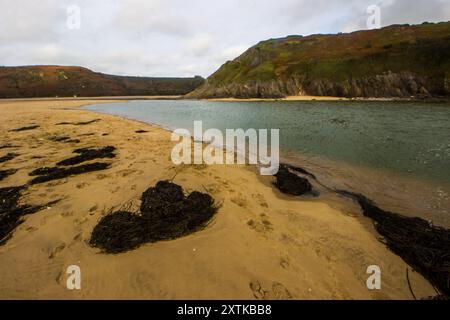 Pennard Pill River, wo er an einem bewölkten Tag über den Sandstrand an der Three Cliffs Bay in Wales fließt. Stockfoto