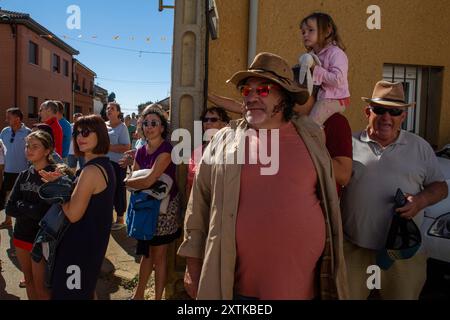 15. August 2024, Calzada Del Coto, Castilla Y Leon, Spanien: Nachbarn beobachten einen Wagen voller Brennholz, während ein Traktor durch die Straßen von Calzada del Coto fährt, während der Vorbereitungen für die Feier des Lagerfeuers von San Roque. Die Stadt Calzada del Coto feiert das Lagerfeuer von San Roque, eine Tradition, die mehr als siebzig Jahre alt ist. Es besteht darin, dass die Ältesten bei Sonnenaufgang des 15. August auf den Berg gehen, um Eichenfeuer zu sammeln und einen Wagen zu füllen, der von einem Traktor gezogen wird. um die Stadt mit einer tollen Party zu betreten und Vorbereitungen für das große Lagerfeuer von San Roque zu treffen, das am Th entzündet wird Stockfoto