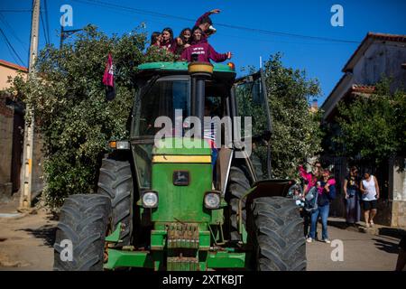 15. August 2024, Calzada Del Coto, Castilla Y Leon, Spanien: Während der Vorbereitungen für die Feier des Lagerfeuers von San Roque fährt ein Einheimischer einen Traktor durch die Straßen von Calzada del Coto. Die Stadt Calzada del Coto feiert das Lagerfeuer von San Roque, eine Tradition, die mehr als siebzig Jahre alt ist. Es besteht darin, dass die Ältesten bei Sonnenaufgang des 15. August auf den Berg gehen, um Eichenfeuer zu sammeln und einen Wagen zu füllen, der von einem Traktor gezogen wird. um die Stadt mit einer großartigen Party zu betreten und Vorbereitungen für das große Lagerfeuer von San Roque zu treffen, das um die erste Stunde des 16. August entzündet wird Stockfoto