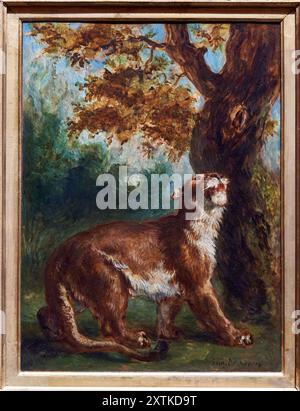 Eugène Delacroix (Saint-Maurice 1798 - Paris 1863), Le Puma, 1859, Musée d'Orsay, Paris, Frankreich Stockfoto