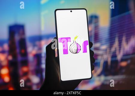 Paraguay. August 2024. In dieser Abbildung wird das Tor-Logo auf einem Smartphone-Bildschirm angezeigt. (Credit Image: © Jaque Silva/SOPA Images via ZUMA Press Wire) NUR REDAKTIONELLE VERWENDUNG! Nicht für kommerzielle ZWECKE! Stockfoto