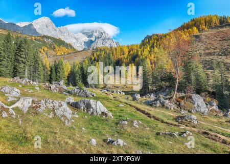 Herrlicher Blick auf Berge und Täler mit Lärchenwald und wunderbarem Himmel in Filzmoos. Lage: Filzmoos, Bezirk St. Johann im Pongau Stockfoto