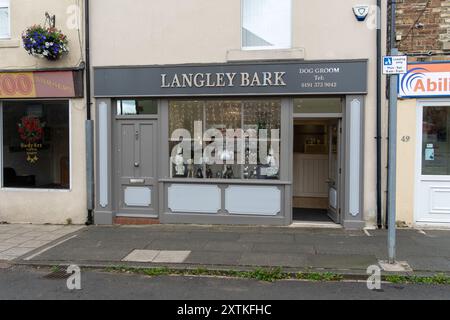 Langley Park, County Durham, Großbritannien. Langley Bark Hundesalon oder Salon in der Front Street in der Stadt Stockfoto