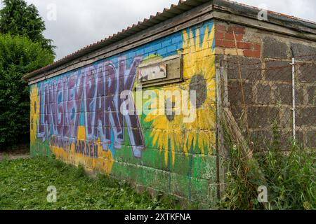 Langley Park, County Durham, Großbritannien. Sprühen Sie Kunst-Naturgemälde in den Gemeindegartenanlagen in der Stadt. Stockfoto