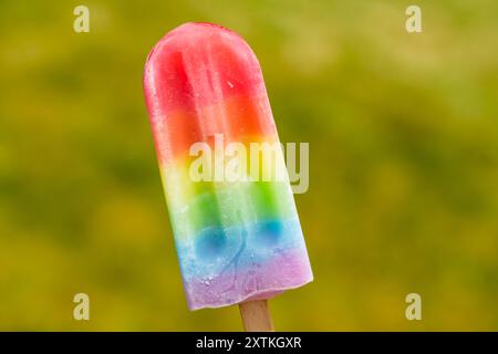 Süße Sommerregenbogenkaffel mit verschiedenen Fruchtaromen Stockfoto