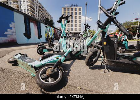 Berlin, Deutschland. August 2024. E-Scooter liegen in Berlin, 15. August 2024. Quelle: dpa/Alamy Live News Stockfoto