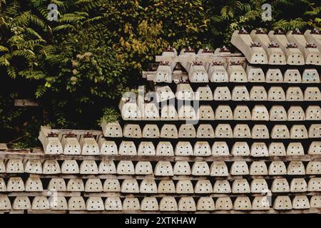 Berlin, Deutschland. August 2024. Gestapelte Bahnschwellen, fotografiert in Berlin, 15. August 2024. Quelle: dpa/Alamy Live News Stockfoto