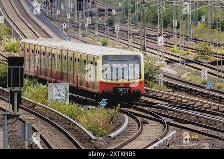 Berlin, Deutschland. August 2024. S-Bahn-Verkehr im Berliner Stadtteil Friedrichshain, 15. August 2024. Quelle: dpa/Alamy Live News Stockfoto