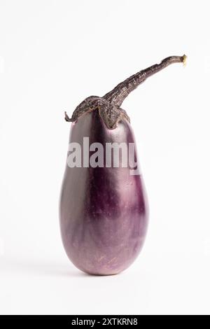 Violette Auberginen isoliert auf weißem Hintergrund. Studio-Aufnahme. Nahaufnahme Stockfoto