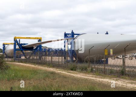 Windturbinenschaufeln bei MHI Vestas Fawley, dem alten Kraftwerk Fawley, heute eine Lackier- und Logistikanlage für 80-m-Rotorblätter, Hampshire, England, Großbritannien Stockfoto