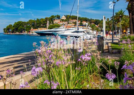 Die hübsche Stadt Cavtat in Südkroatien Stockfoto