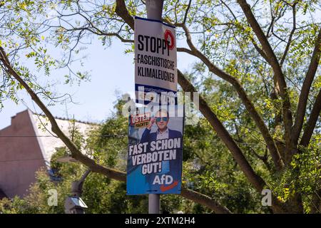 Landtagswahlkampf in Thüringen ein Laternenmast in Erfurt ist mit zwei Wahlplakaten versehen. Oben befindet sich ein Plakat der MLPD mit der Aufschrift STOPPT FASCHISTISCHE KLIMALEUGNER. Darunter hängt ein Plakat der AfD mit dem Slogan FAST SCHON VERBOTEN GUT, das Bernd Höcke mit Sonnenbrille zeigt. Erfurt Altstadt Thüringen Deutschland *** Landtagswahlkampf in Thüringen Ein Leuchtturm in Erfurt ist mit zwei Wahlplakaten geschmückt oben ist ein Poster für die MLPD mit den Worten STOP FASCHISTIC CLIMATE DEVILS darunter hängt ein Poster für die AfD mit dem Slogan FAST SCHON VERBOTEN DARM, sh Stockfoto