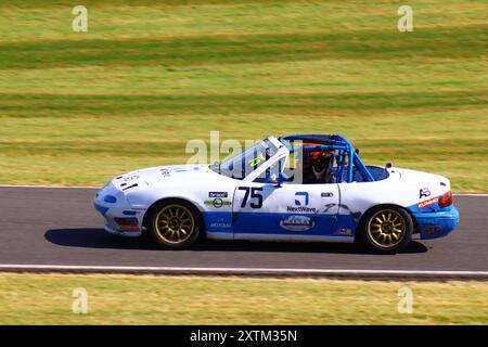 BRSCC IM CADWELL PARK LINCOLNSHIRE UK Stockfoto