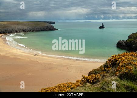 Broadhaven South Beach an der Küste von Pembrokeshire in Wales in Großbritannien Stockfoto