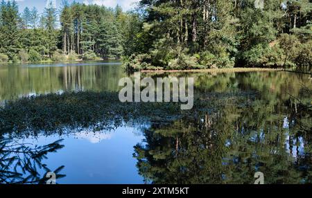 Beecraigs Country Park Loch, in der Nähe von Linlithgow, Schottland Stockfoto