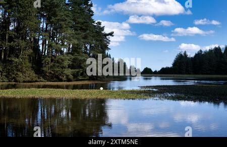 Beecraigs Country Park Loch, in der Nähe von Linlithgow, Schottland Stockfoto