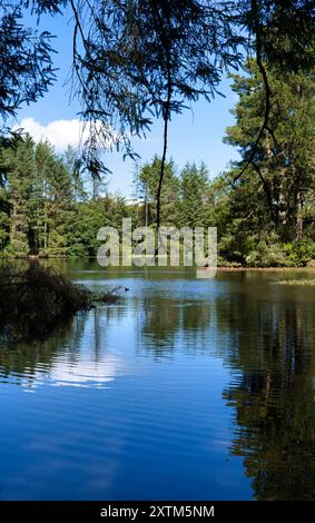 Beecraigs Country Park Loch, in der Nähe von Linlithgow, Schottland Stockfoto