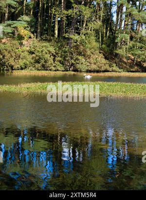 Beecraigs Country Park Loch, in der Nähe von Linlithgow, Schottland Stockfoto