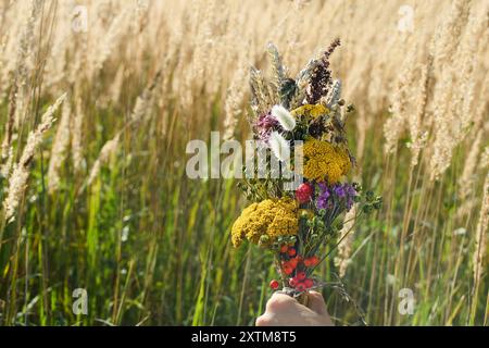 Marientag Himmelfahrt. Wildblumenstrauß auf dem Feld Stockfoto