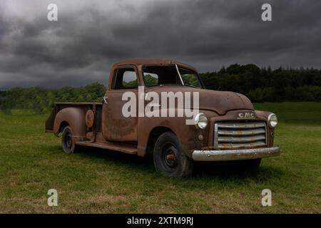 chevy Truck auf dem Feld Stockfoto