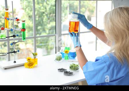 Wissenschaftlerin mit Probenkolben, Sonnenblumensamen und Sprossen im Labor Stockfoto