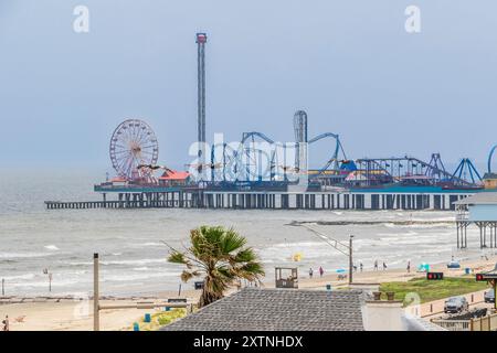 Brown Pelican im Flug in Galveston Stockfoto