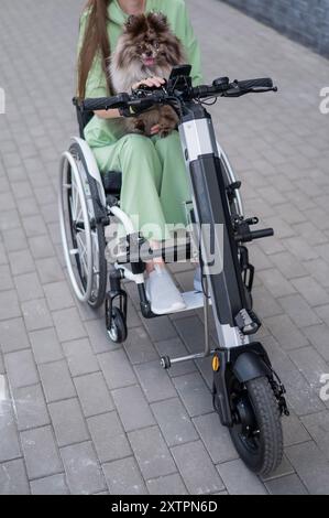 Eine Frau in einem Rollstuhl mit einem Handbedienungsgerät trägt einen Spitz merle Hund. Elektrisches Handrad. Stockfoto