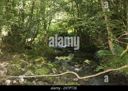 Covadonga, Spanien. August 2024. Blick auf den Fluss Covadonga während des täglichen Lebens in Onís, am 15. August 2024, in Covadonga, Spanien. (Foto: Alberto Brevers/Pacific Press) Credit: Pacific Press Media Production Corp./Alamy Live News Stockfoto