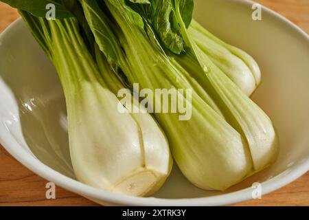 3 ganze, rohe Pak Choy in einer Schüssel. Sie können in verschiedenen englischsprachigen Regionen auch als Pok Choy oder pak Choy bezeichnet werden. Stockfoto