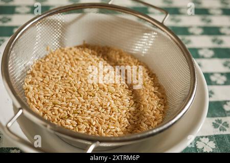 Roher mittelkörniger brauner Reis Stockfoto