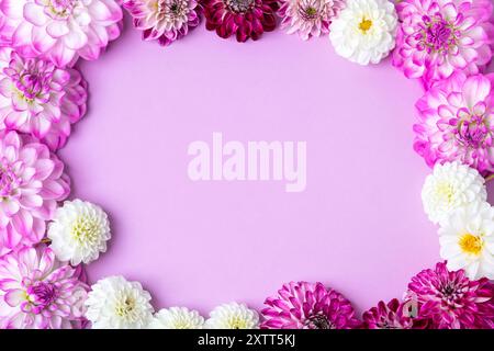 Rosa, lila, burgunderroter Rahmen von Dahlienblüten auf lila Hintergrund mit Platz für Text in der Mitte. Grußkarte mit Blumenmuster. Trendiges Dekorationsdesign in der Natur. Naturkonzept. Flache Lagen. Stockfoto