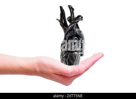 Kompliziertes anatomisches Herzmodell in der Hand, mit Metallic-Oberfläche, ideal für pädagogische, künstlerische oder dekorative Zwecke. Stockfoto