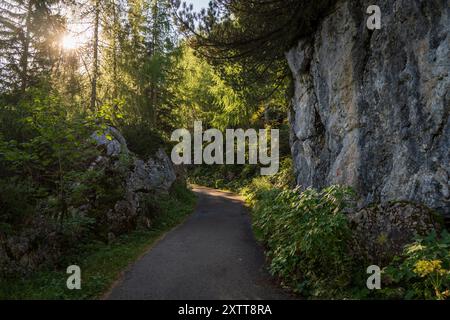 Ein gepflasterter Gehweg windet sich neben einer steilen Kalksteinwand in der Nähe von Berchtesgaden, Bayern, Deutschland, während Sonnenlicht durch die Bäume scheint. Stockfoto