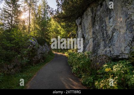 Ein gepflasterter Gehweg windet sich neben einer steilen Kalksteinwand in der Nähe von Berchtesgaden, Bayern, Deutschland, während Sonnenlicht durch die Bäume scheint. Stockfoto
